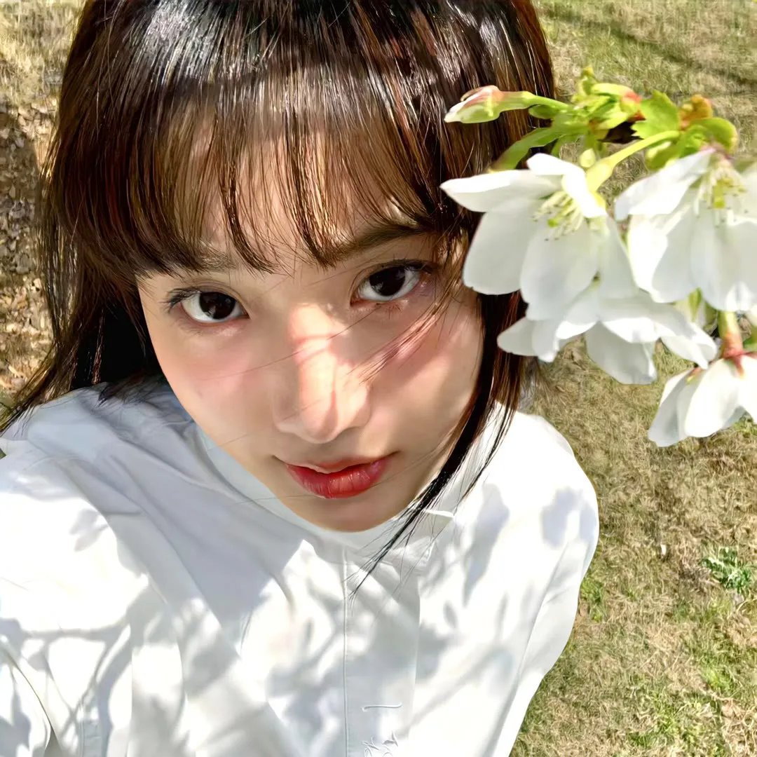 丛林少女之重启